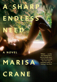 A Sharp Endless Need, by Marisa Crane