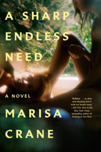 A Sharp Endless Need, by Marisa Crane