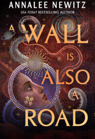 A Wall Is Also a Road, by Annalee Newitz